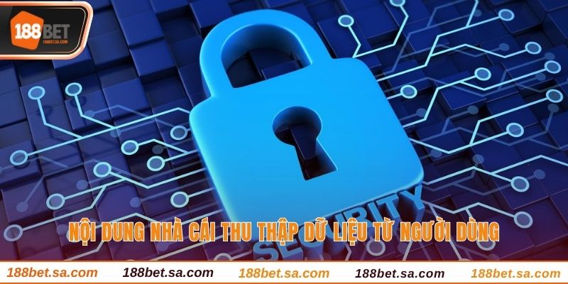 Chính Sách Bảo Mật 188BET - Cập Nhật Quy Định Mới Nhất 2 Nội dung nhà cái thu thập dữ liệu từ người dùng