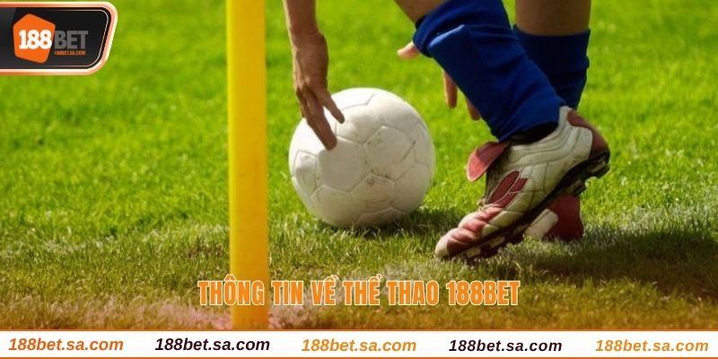 Thể Thao 188BET - Sảnh Cược Online Sành Điệu Nhất 2025 1 Thông tin về thể thao 188BET